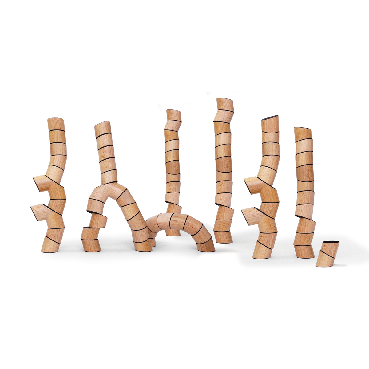 Loggos 75 Teile Buche