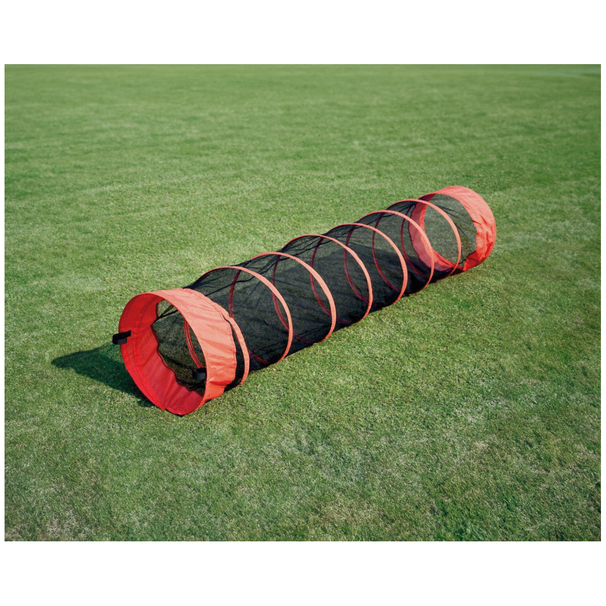 Kriechtunnel Angsthase