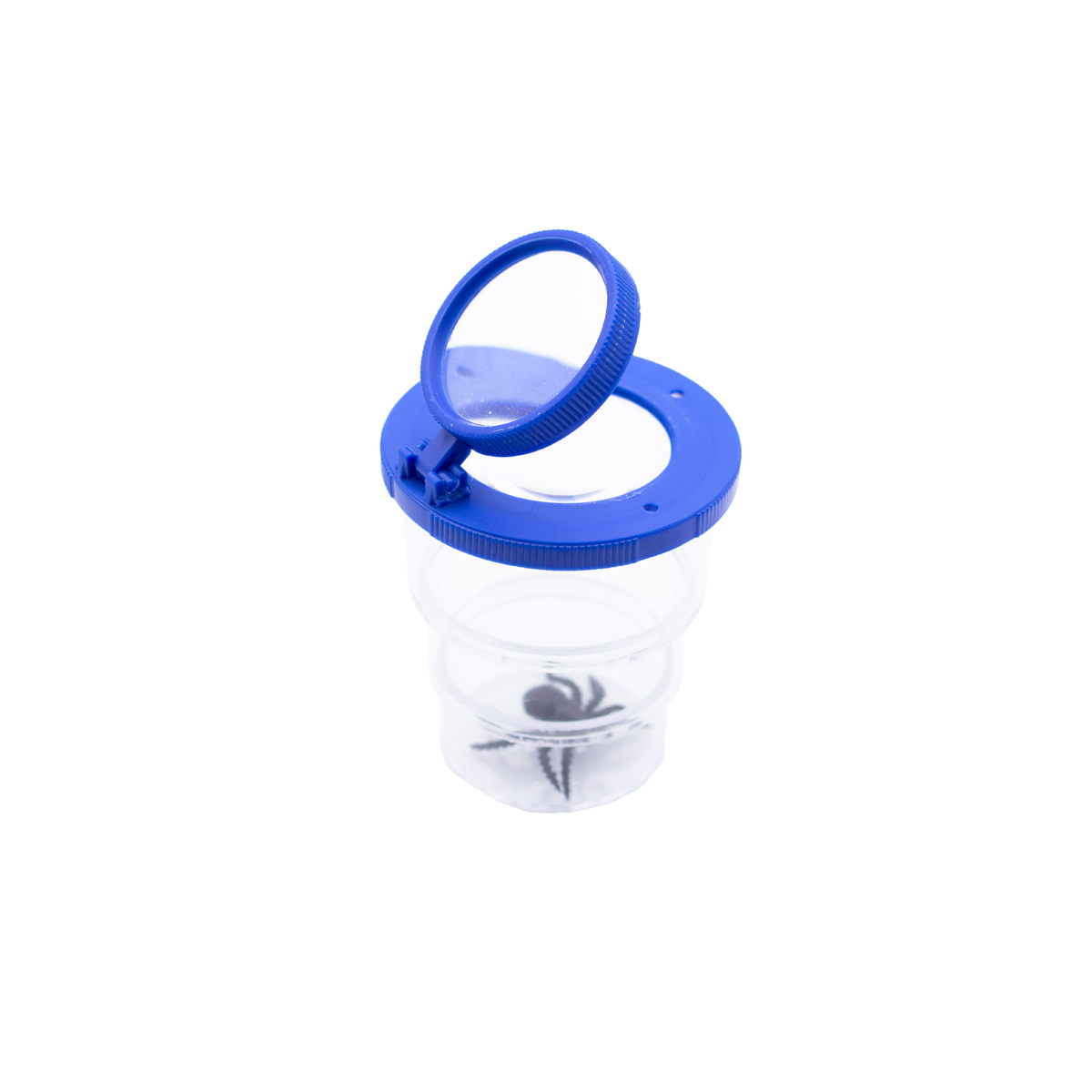 Lupendose Teleskop blau