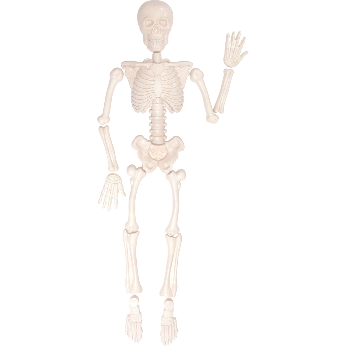 Sandformen menschliches Skelett