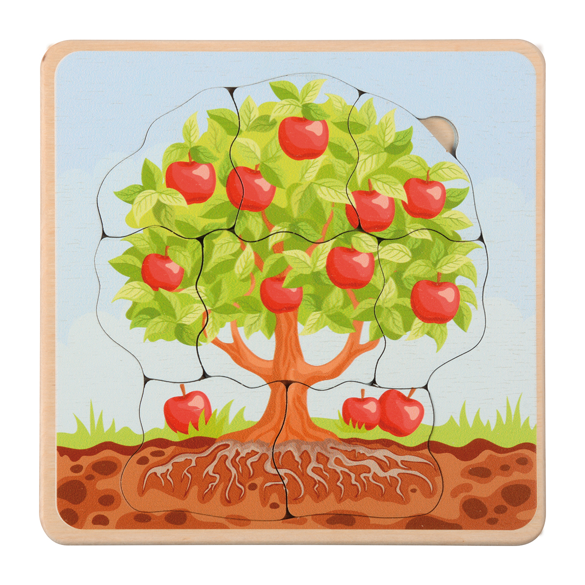 Lebenszyklen Puzzle Apfelbaum