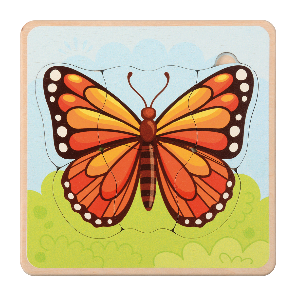 Lebenszyklen Puzzle Schmetterling