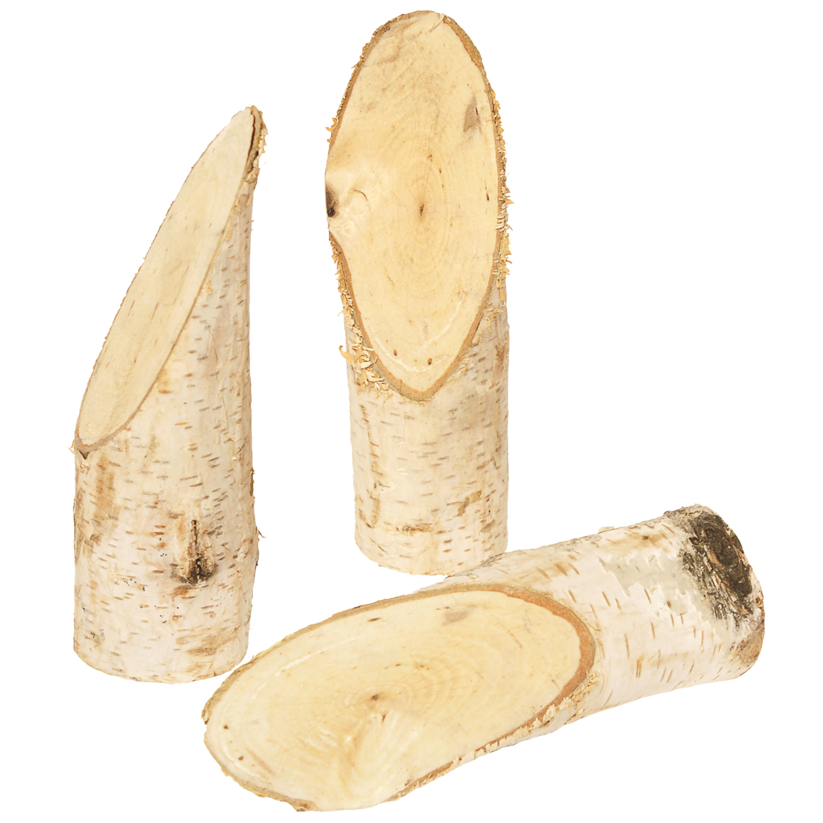 Birkenstämmchen 5er Set