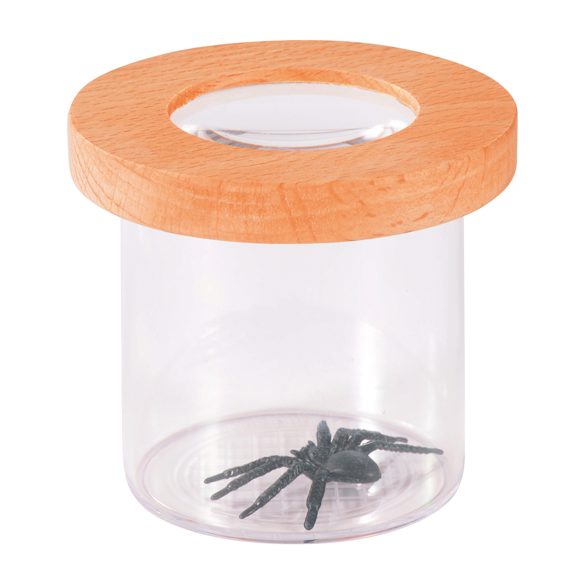 Lupendose mit Holzdeckel